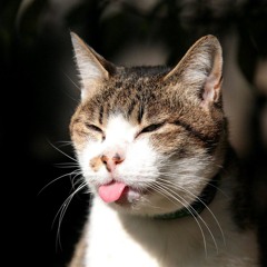 20 Fingers - Lick It! (Syntax Erik´s Kiss The Cat Remix)