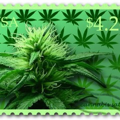 BeauKiko - New Motive