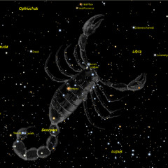 Saranankara-Constellations Growing