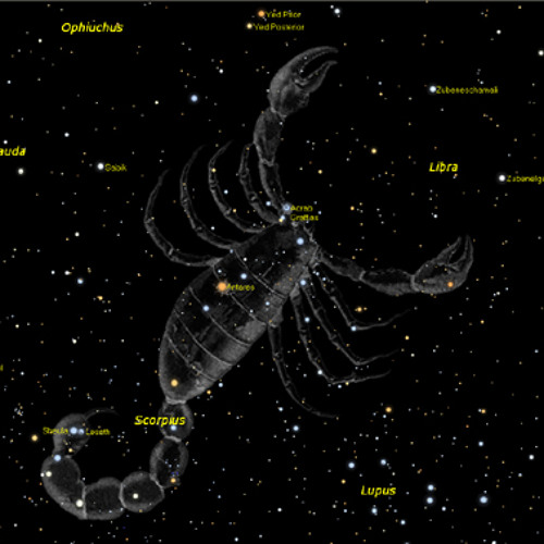 Saranankara-Constellations Growing