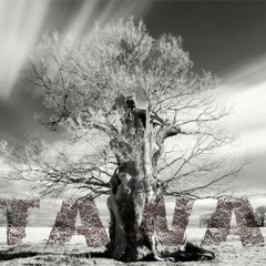 Not Pain Enough - Staway 留離