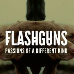 Flashguns | Passions of a Different Kind [Patrick H. Kowalewski Remix]
