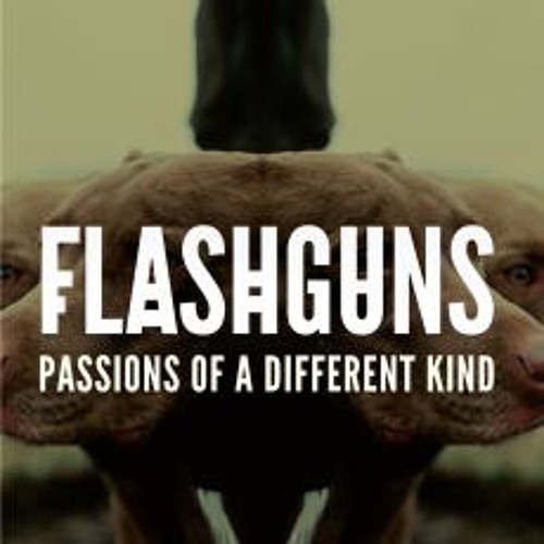 Flashguns | Passions of a Different Kind [Patrick H. Kowalewski Remix]