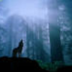 Dark Night (original mix)