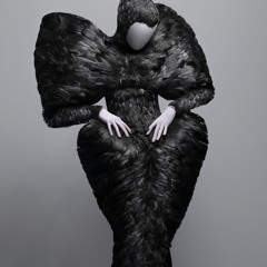 Down Her Feathers Fall - ALBUM ON ITUNES