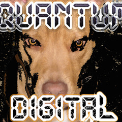 Shut Your Mouth(Quantum Digital )