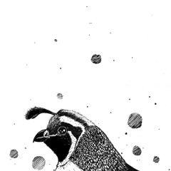 It just A ride Ft Adjua& Mista Switch