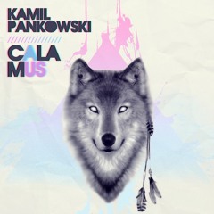 - RELEASE - Kamil Pankowski - Calamus (Original Mix)