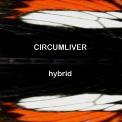 Hybrid Clinicalambient 01