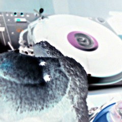 Dj sjoki - Summer is near