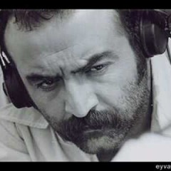 Yılmaz Erdoğan - Sevebilme ihtimali