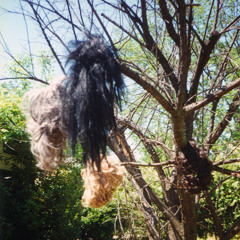 Dino Felipe - Puppetry