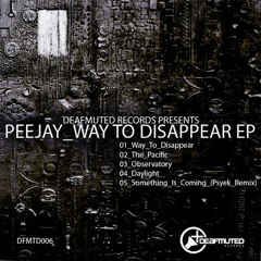 Peejay - Way To Disappear DFMTD006