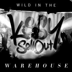 Kissy Sell Out - Wild In The Warehouse (Metzo Remix)