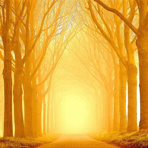 John Foxx - Eternity Sunrise