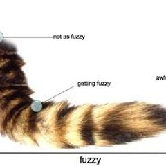 Fuzzytail