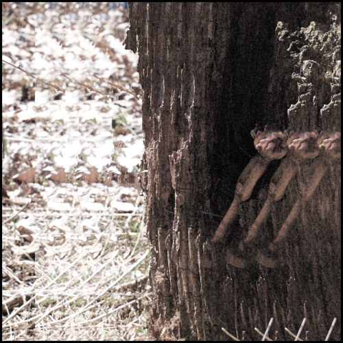 I felt the pulse of the earth