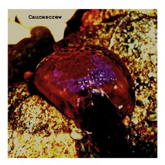 Out bloody-part1-[Exp]