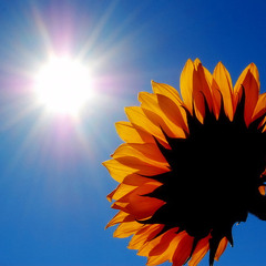 All Time High - Epic Trance 01