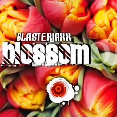 Blasterjaxx - Blossom (Original mix)