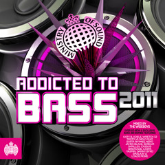 Addicted to Bass 2011 Minimix