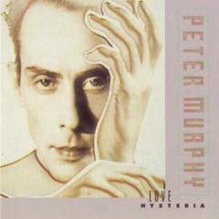 Peter Murphy - All Night Long