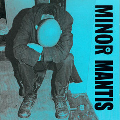 Man Mantis covers Minor Threat - Screaming at Kenny G (Screaming at a Wall)