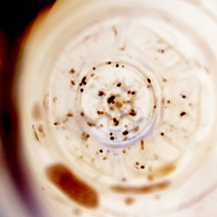 Mattan - Spinning faster (envizagae records)