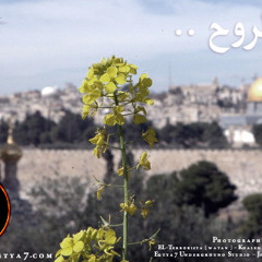 Egtya7 Underground - Enty El-Ro7