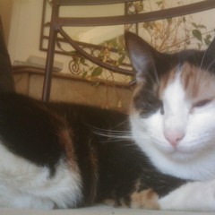 Minouche - Ballad (original mix)