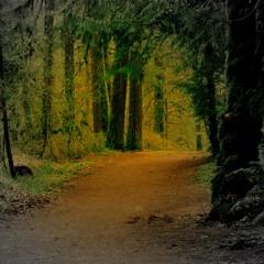 Take Me Where You Are