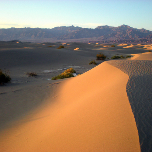 DuneFx spring2011