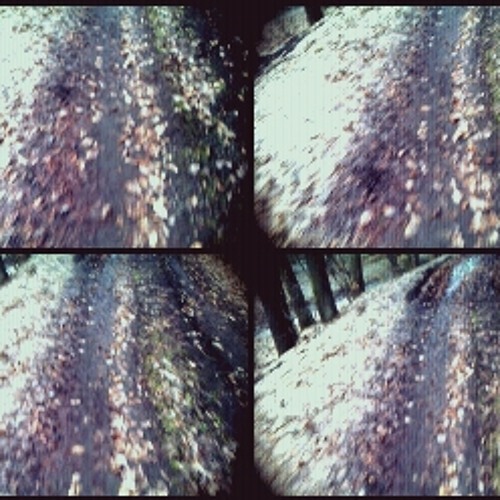 prace s drevem /aran epochal cover/