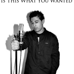 Is This What You Wanted