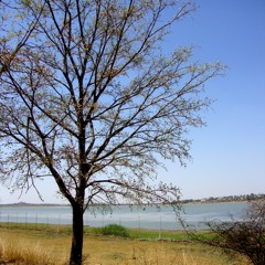 Lagniappe ( lanˈyap; ˈlanˌyap )