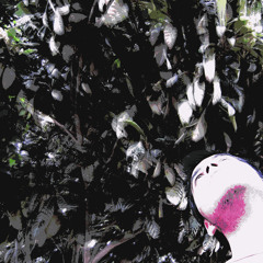 SetTribute Marco Carola by Hacke