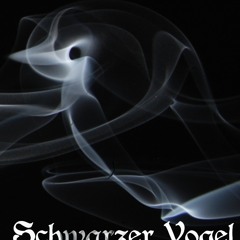 Schwarzer Vogel