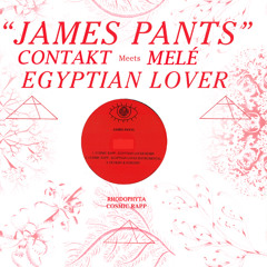 Contakt x James Pants - Rhodophyta Cosmic Rapp (Melé x Egyptian Lover Remix)