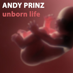 Andy Prinz - Unborn Life [Chill-Out Instrumental]