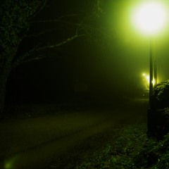 In The Night (remastered) // Free download
