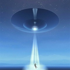 Navigator bonus track-djalienator