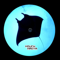 Mouch - Manta [Gradient Audio US - Modulus EP 2 - GRD020]