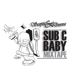 17 Lay Low (Dseeva) Intro By Biebitch & BFL