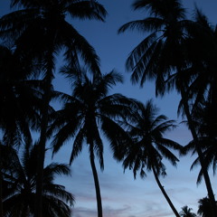 Get Down On It/Chocolate Biscuit Remix-Sasha Pullin-Michael e (Kool And The Gang)