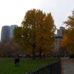 TGM85 - Soul Awakening