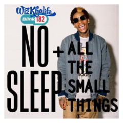 Wave Dive - No Sleep & All The Small Things (Wiz Khalifa with Blink 182) soft rock hiphop mash