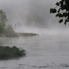 Early Morning Mist