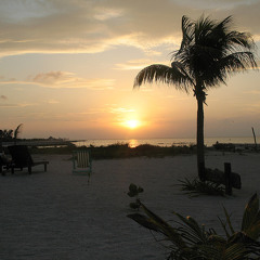 TEMPLETON TEMPLETON B50