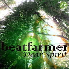 beatfarmer - Dear Spirit