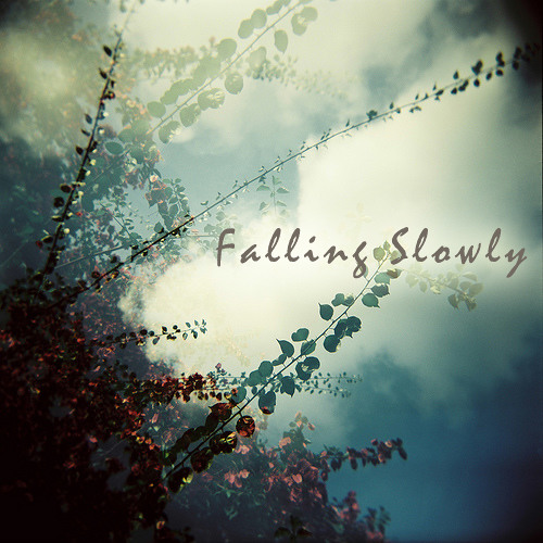 Falling Slowly (Glen Hansard)